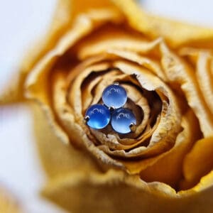 Piercing Unser erfahrenes Team kombiniert handwerkliche Präzision mit Geduld und Feingefühl. So entsteht ein Piercing-Erlebnis, das professionell, entspannt und ganz auf dich zugeschnitten ist.