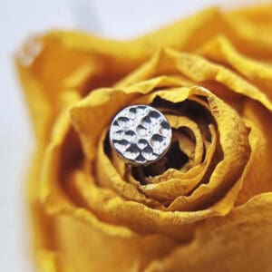 Piercing Unser erfahrenes Team kombiniert handwerkliche Präzision mit Geduld und Feingefühl. So entsteht ein Piercing-Erlebnis, das professionell, entspannt und ganz auf dich zugeschnitten ist.